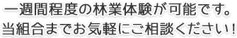 一週間程度の林業体験が可能です。当組合までお気軽にご相談ください！